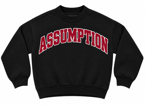 Assumption Design #5 black fitted mockneck with crimson arched lettering and white outline